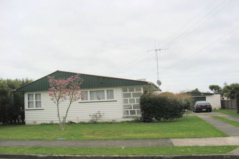 Photo of property in 15 Elizabeth Street, Levin, 5510