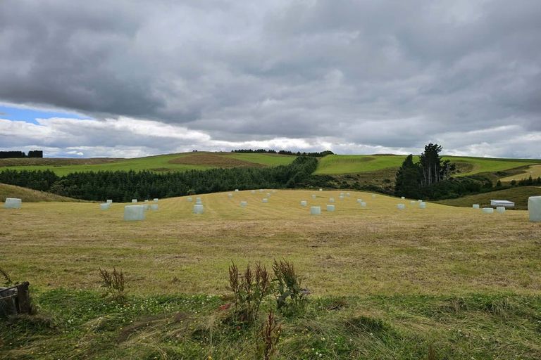 Photo of property in 447 Waddle Road, Waikana, Gore, 9772