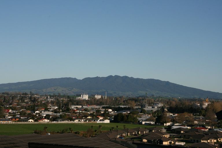 Photo of property in 347 Picquet Hill Road, Te Awamutu, 3800