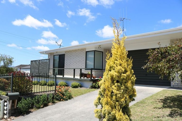 Photo of property in 1/568 Mandeno Street, Te Awamutu, 3800