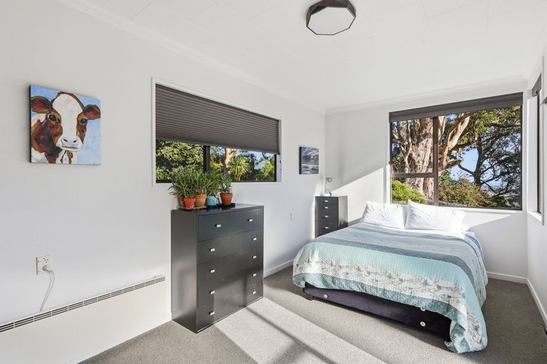 Photo of property in 47 Every Street, Andersons Bay, Dunedin, 9013