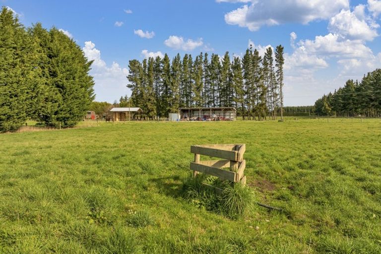 Photo of property in 185 Worlingham Road, Eyrewell, Rangiora, 7476
