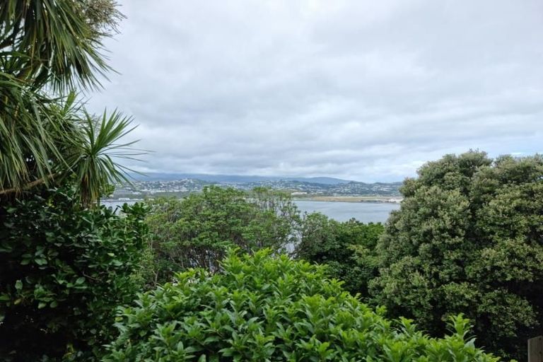 Photo of property in 43 Overtoun Terrace, Hataitai, Wellington, 6021