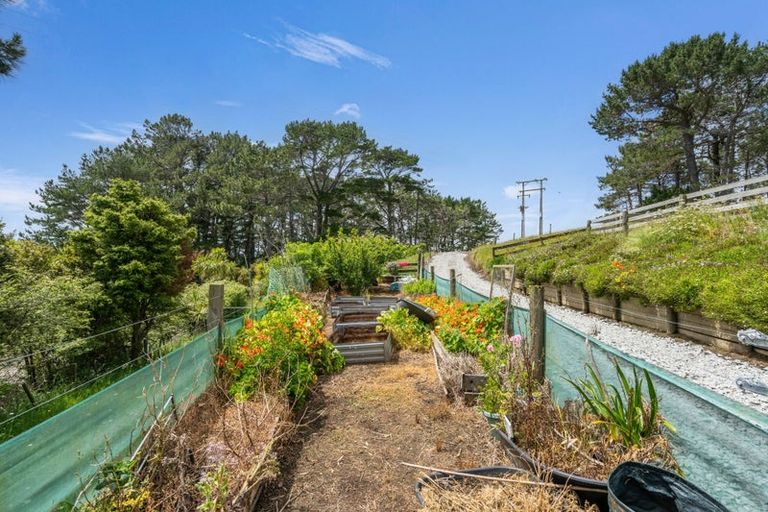 Photo of property in 309 Opanake Road, Parore, Dargaville, 0372