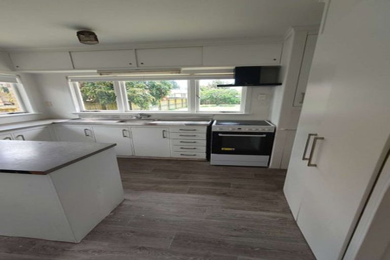 Photo of property in 30 Edmund Hillary Avenue, Papakura, 2110