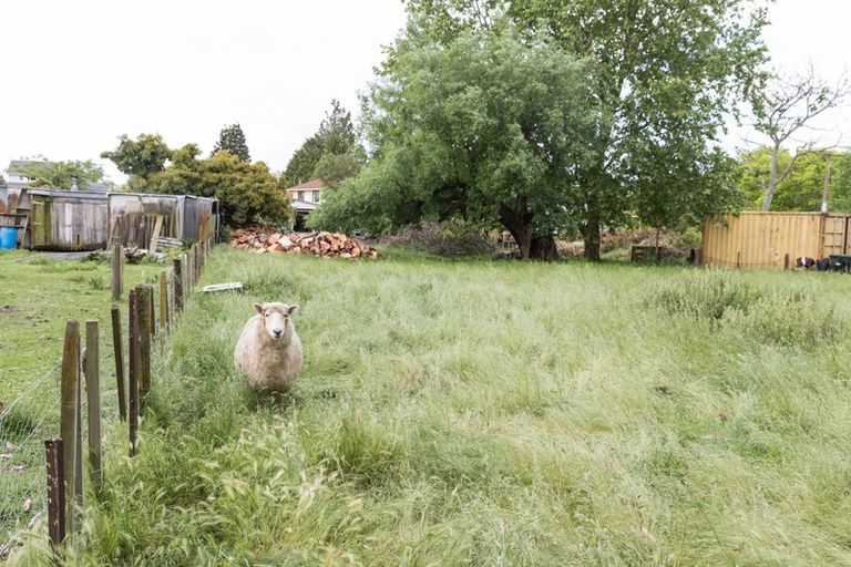 Photo of property in 55 Mcgreevy Street, Waipawa, 4210