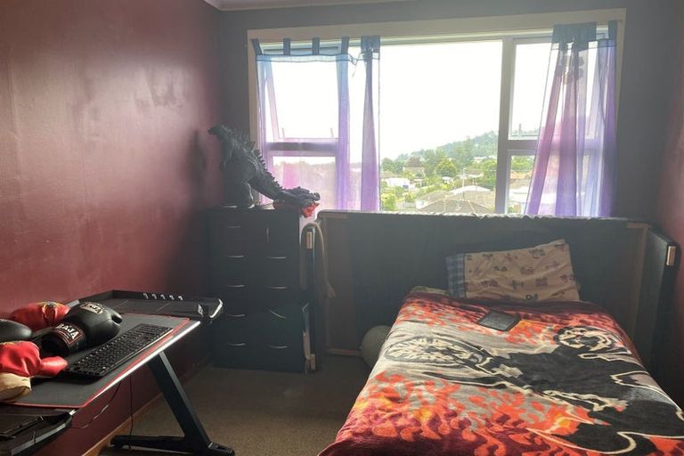 Photo of property in 117 Hauraki Terrace, Thames, 3500