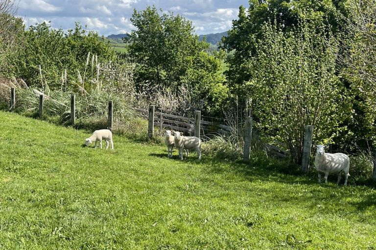 Photo of property in 87 Haurua Road, Otorohanga, 3977