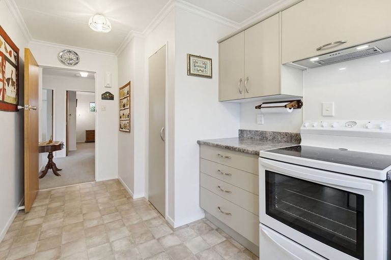 Photo of property in 45 Dittmer Drive, Awapuni, Palmerston North, 4412