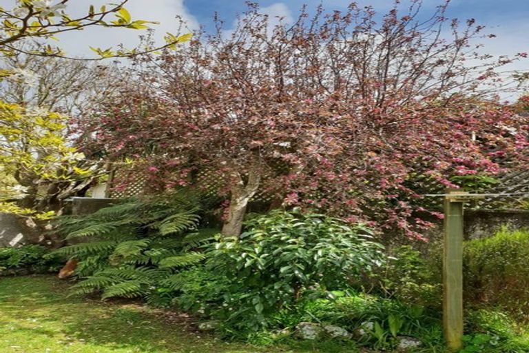 Photo of property in 3 Sydenham Street, Northland, Wellington, 6012