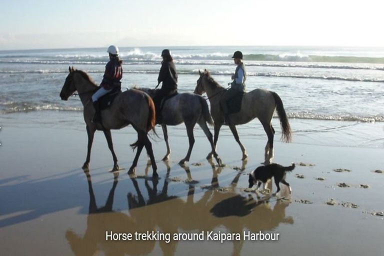 Photo of property in 2 Kanono Way, Helensville, 0800