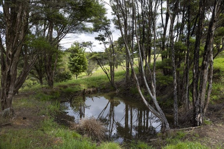 Photo of property in 1214 Oruru Road, Peria, Kaitaia, 0482