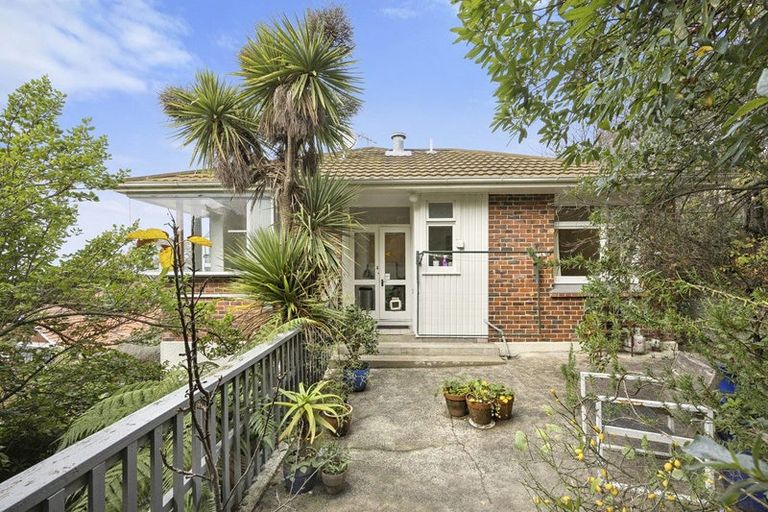 Photo of property in 106a Bedford Street, Saint Clair, Dunedin, 9012