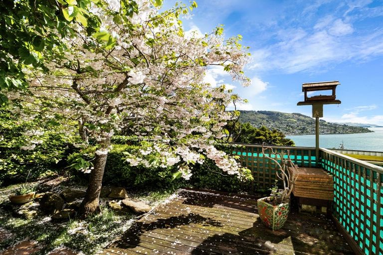 Photo of property in 35 Coolock Crescent, Waverley, Dunedin, 9013