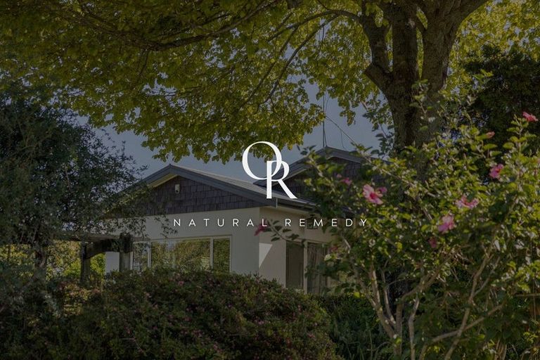 Photo of property in 117r Moffat Road, Bethlehem, Tauranga, 3110