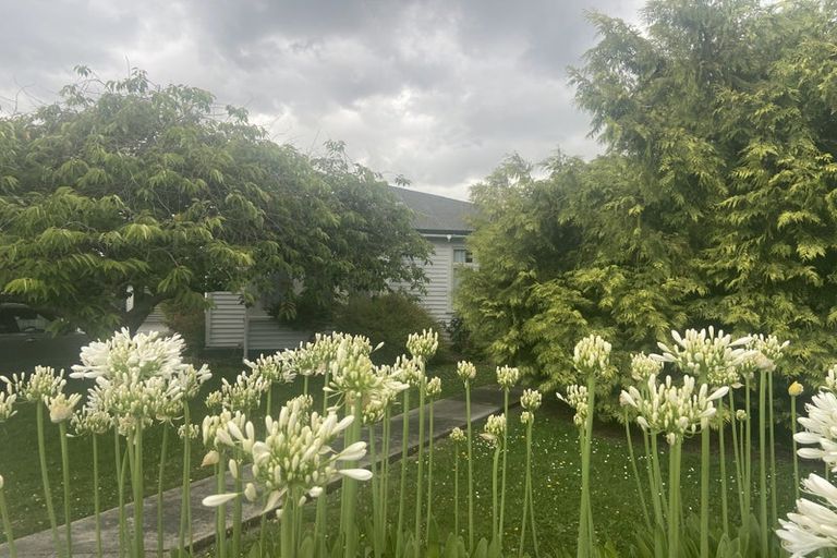 Photo of property in 209 King Street, Rangiora, 7400