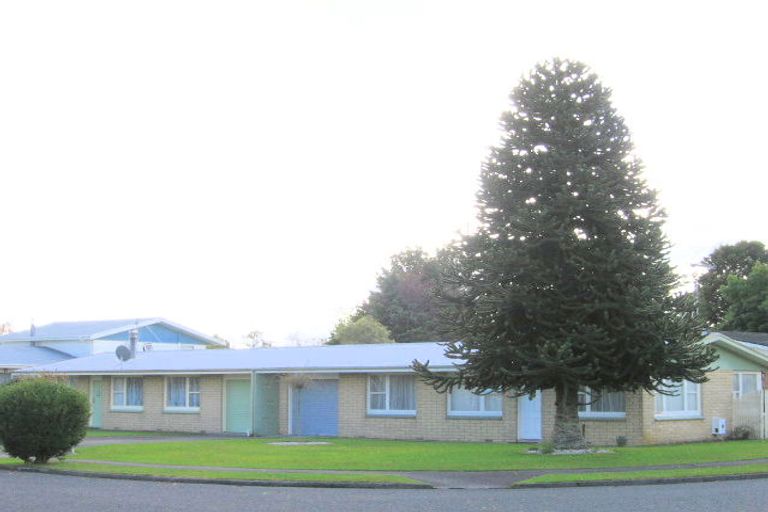 Photo of property in 43b Pohutukawa Drive, Tokoroa, 3420