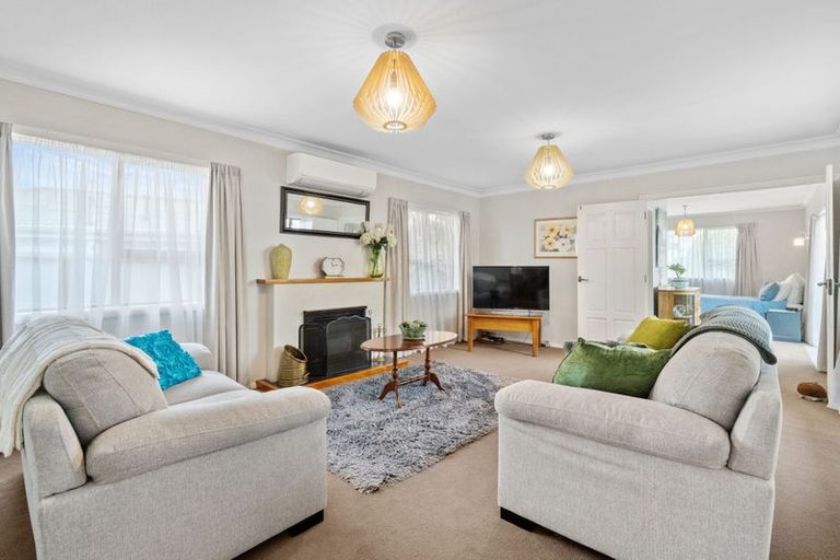 Photo of property in 158 Tiro Tiro Road, Levin, 5510