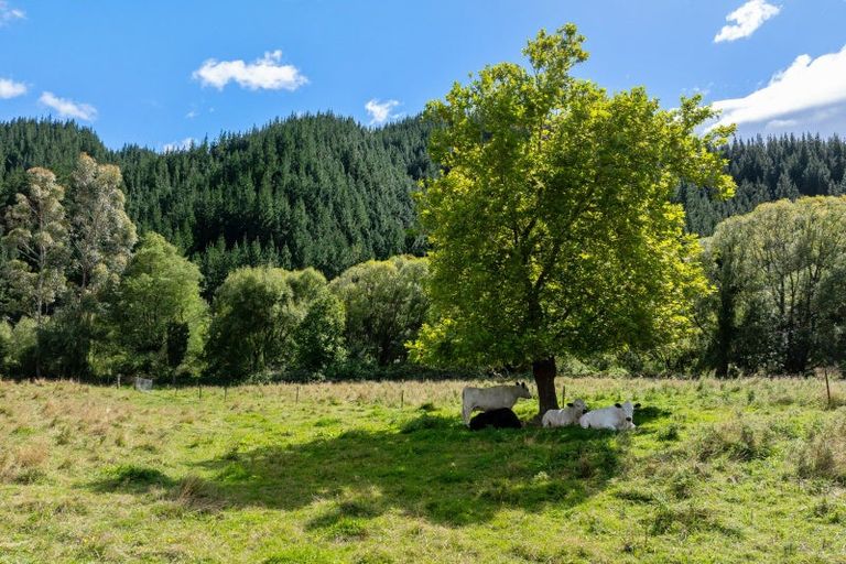 Photo of property in 485 Tram Road, Ohoka, Kaiapoi, 7692