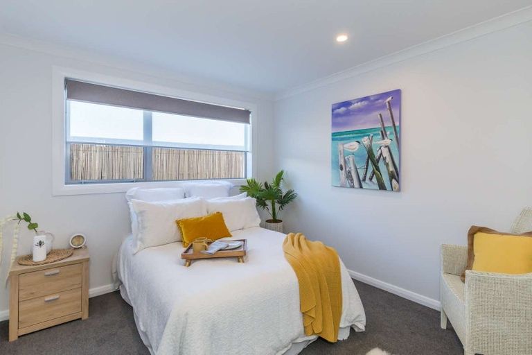 Photo of property in 87a Tiro Tiro Road, Levin, 5510