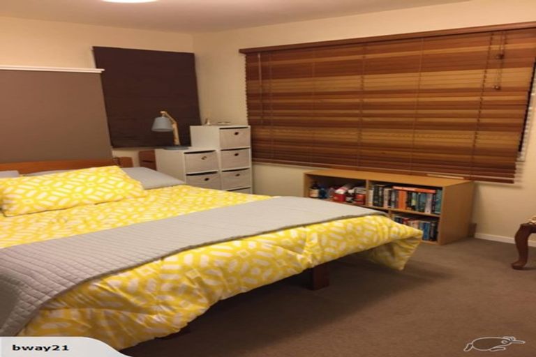 Photo of property in 102a Karepa Street, Brooklyn, Wellington, 6021