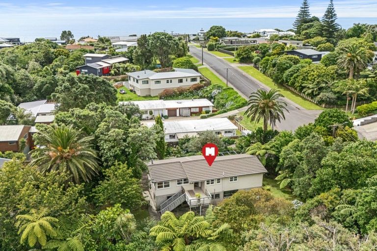 Photo of property in 52 Pitcairn Street, Oakura, 4314