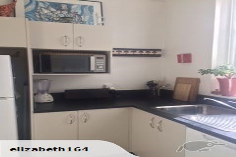 Photo of property in Blythswood Flats, 3f7 Aro Street, Aro Valley, Wellington, 6021