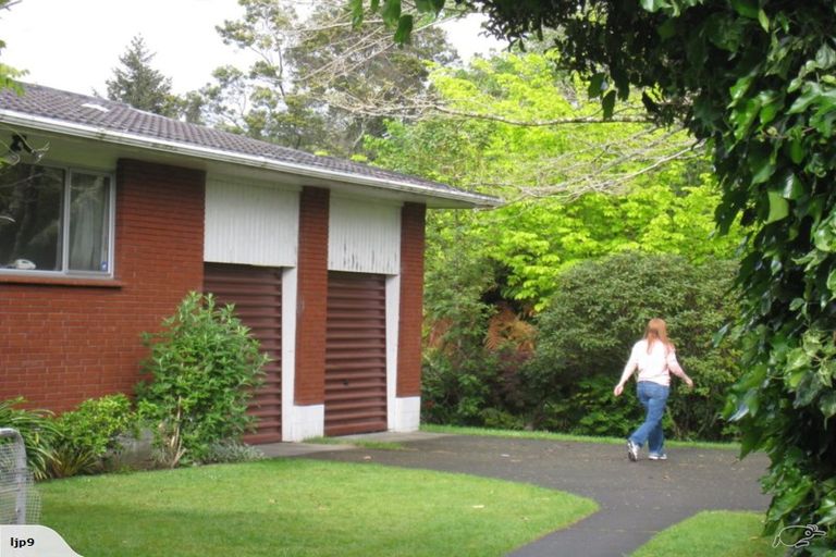 Photo of property in 40 Orion Street, Sunnybrook, Rotorua, 3015