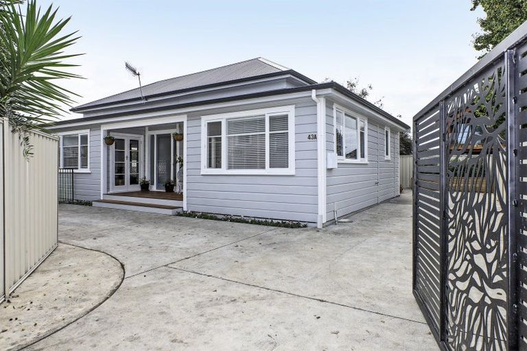 Photo of property in 43a Georges Drive, Napier South, Napier, 4110