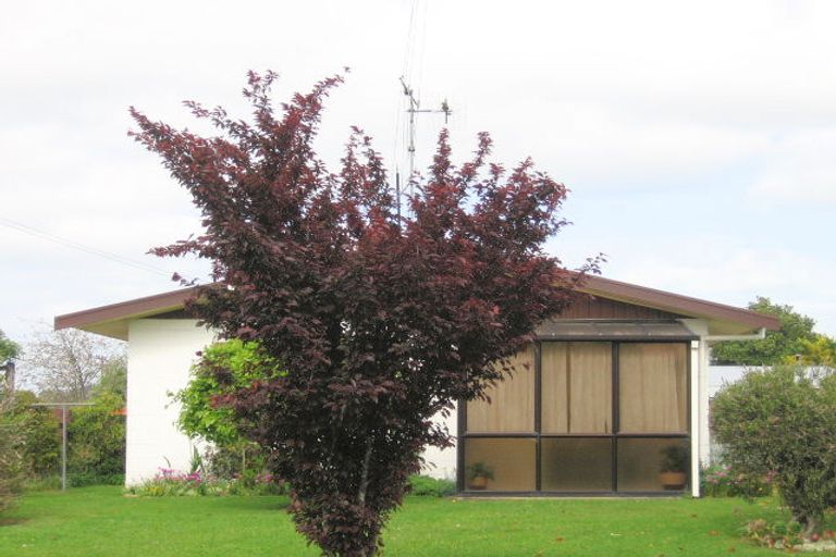 Photo of property in 7b Moana Place, Morrinsville, 3300