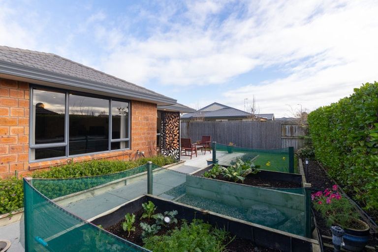 Photo of property in 48 Tennyson Avenue, Kelvin Grove, Palmerston North, 4414