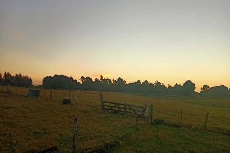 Photo of property in 478 Mcivor Road, Myross Bush, Invercargill, 9876