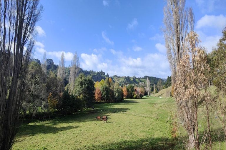 Photo of property in Waitao Road, Waitao, Tauranga, 3175