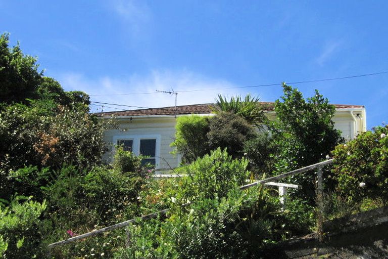 Photo of property in 135 Coromandel Street, Newtown, Wellington, 6021