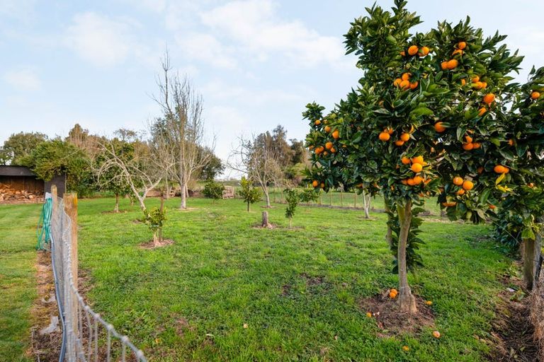 Photo of property in 815 Parallel Road, Ohaupo, 3881