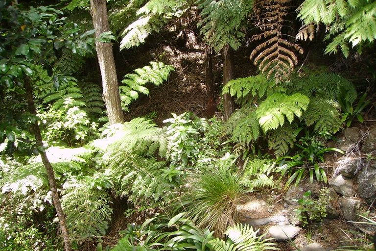 Photo of property in 65 Rimutaka Place, Titirangi, Auckland, 0604