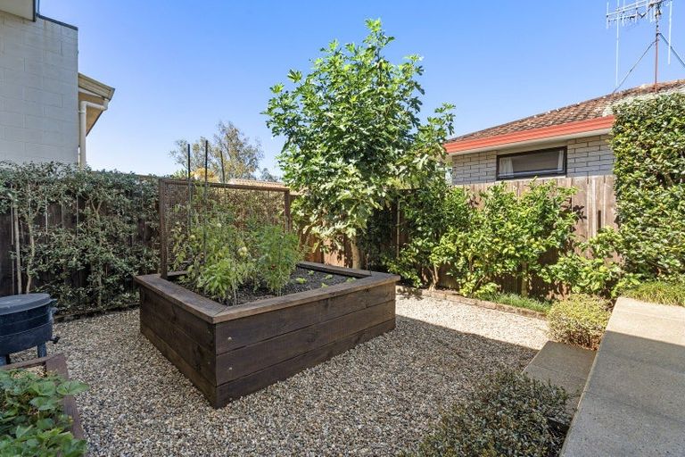 Photo of property in 183 Edgecumbe Road, Tauranga South, Tauranga, 3112