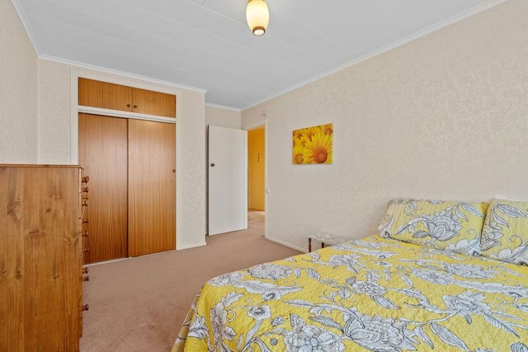 Photo of property in 76 Winchester Street, Levin, 5510