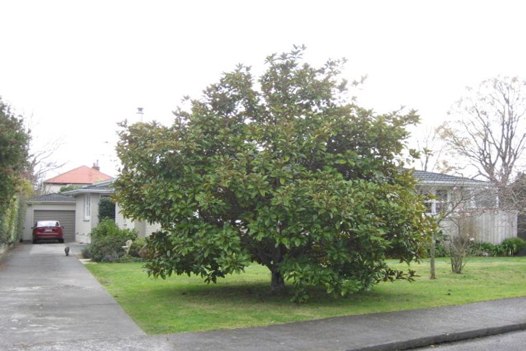 Photo of property in 2b George Place, Havelock North, 4130