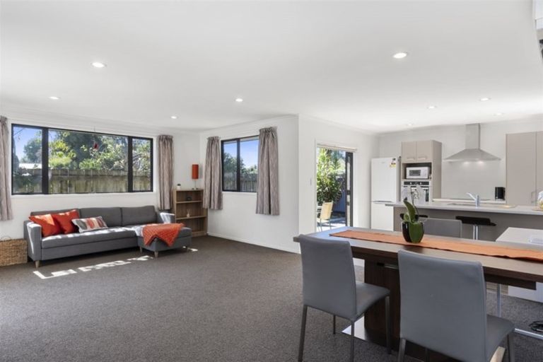 Photo of property in 241b Maungatapu Road, Maungatapu, Tauranga, 3112