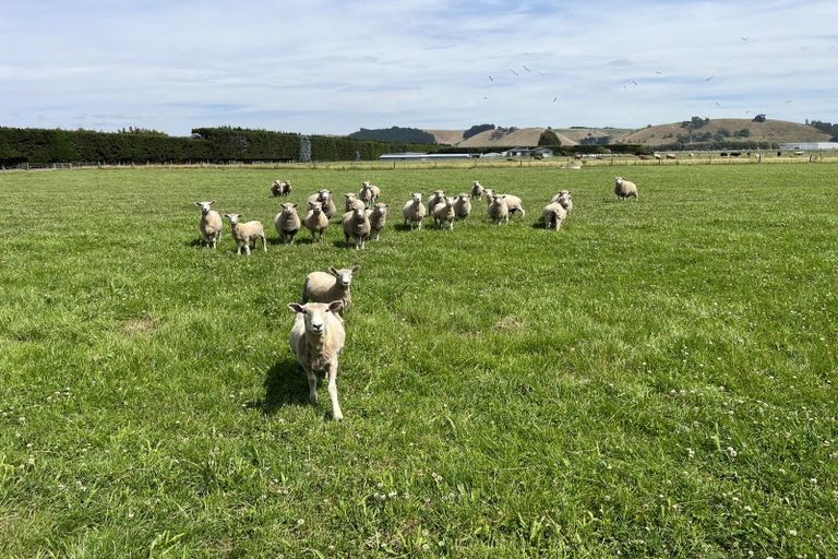 Photo of property in 174 Shortland Road, Oamaru North, Oamaru, 9494