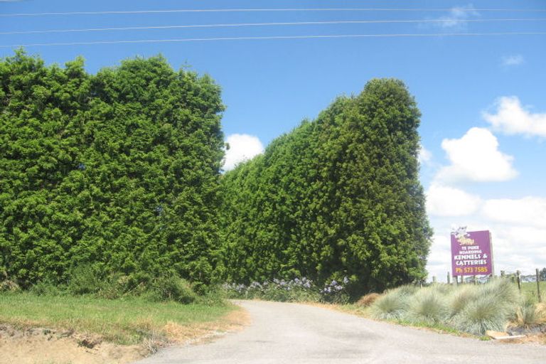 Photo of property in 299 No 1 Road, Te Puke, 3182