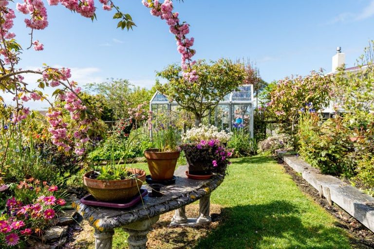 Photo of property in 59 Isadore Road, Saint Clair, Dunedin, 9012