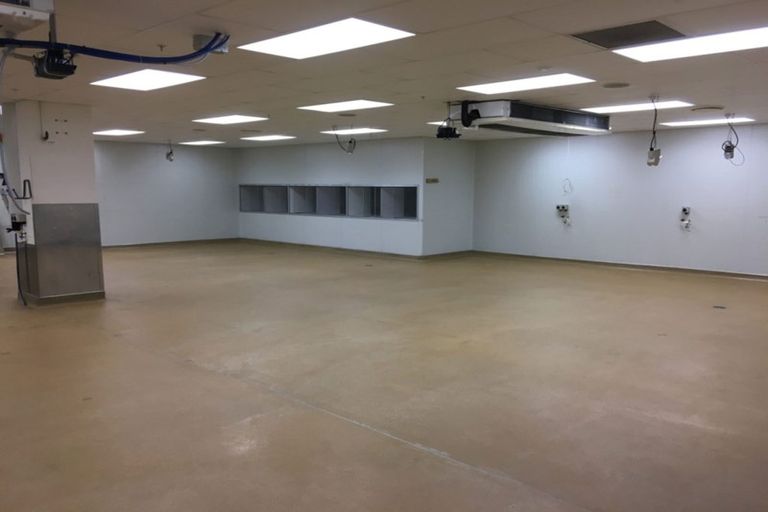Photo of property in The Lofts, 185u1 Victoria Street, Te Aro, Wellington, 6011