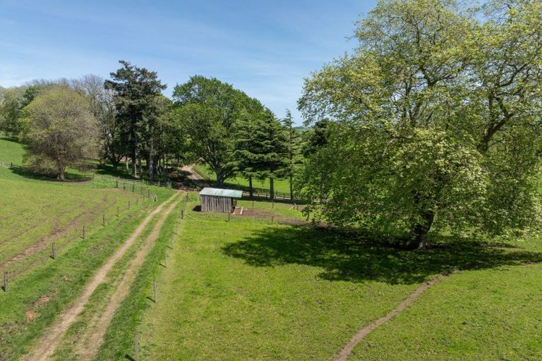 Photo of property in 835 Buckland Road, Karapiro, Matamata, 3472