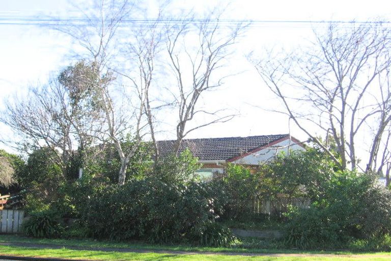 Photo of property in 180 Clevedon Road, Papakura, 2110