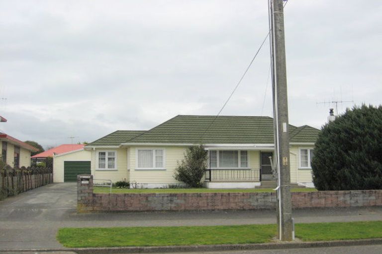 Photo of property in 118 Tiro Tiro Road, Levin, 5510