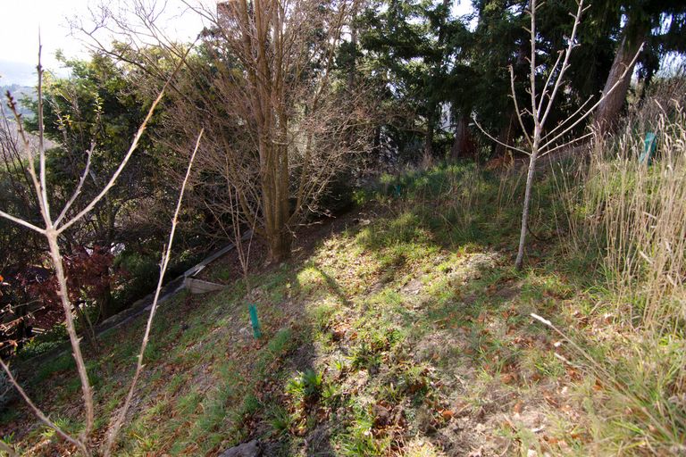 Photo of property in 8 Edinburgh Street, Roxburgh, 9500