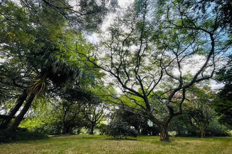 Photo of property in 1982 Diggers Valley Road, Kaitaia, 0481