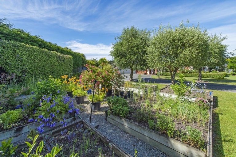 Photo of property in 19 Brahman Close, Prebbleton, 7604